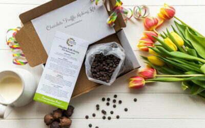 Ways to Use Our Chocolate Truffle Making Kit